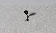 HQL-Wandlampe 